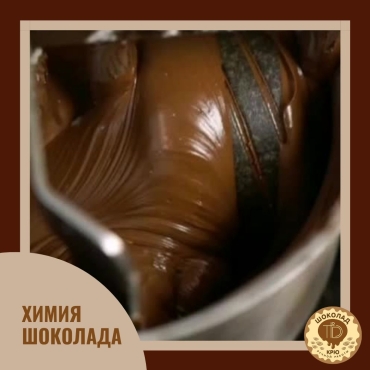 Воздействие на тело и мозг человека